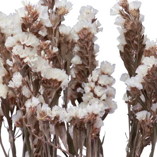 Itens Praia Lilás Branco Limonium Flores Secas 60cm 35g