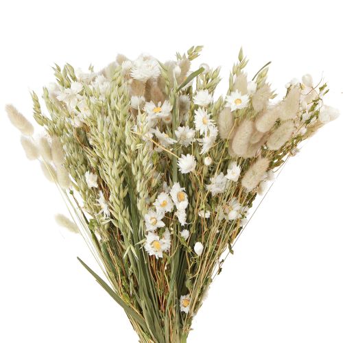 Floristik24 Buquê de flores secas palha branca flores aveia Lagurus 55cm