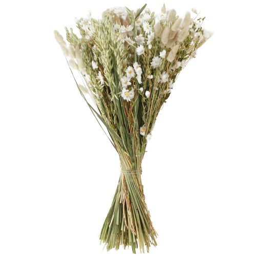 Floristik24 Buquê de flores secas palha branca flores aveia Lagurus 55cm