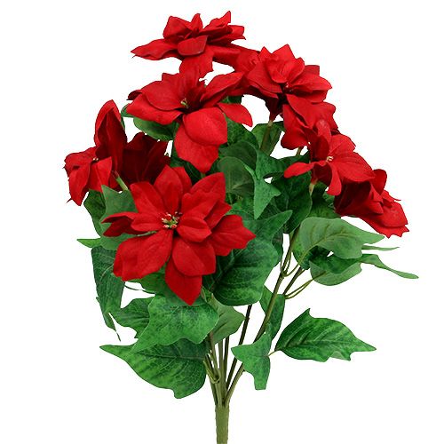Bouquet Poinsettia Vermelho L47cm