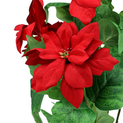 Itens Bouquet Poinsettia Vermelho L47cm