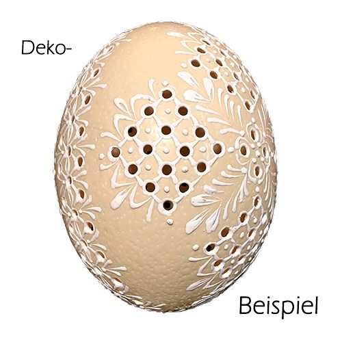 Itens Ovo de avestruz natural soprado decoração vazia