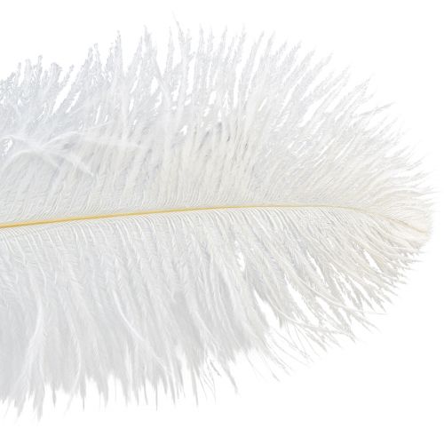 Itens Penas de Avestruz Decoração Exótica Penas Brancas 32-35cm 4 un