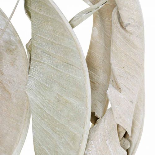 Itens Folhas de Strelitzia lavadas em branco secas 45-80cm 10p