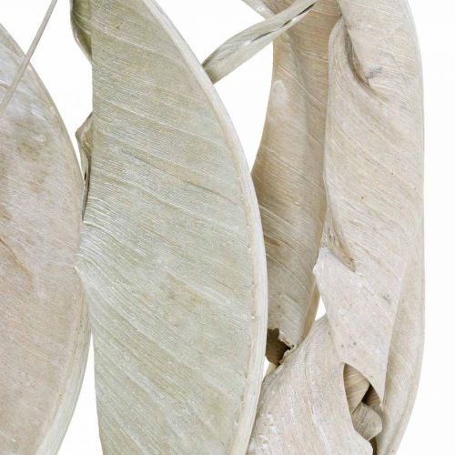 Floristik24 Folhas de Strelitzia lavadas de branco e secas 45-80 cm 10 unid.