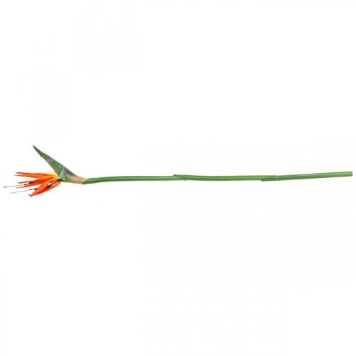 Floristik24 Strelizie reginae flor artificial laranja ave do paraíso L85cm