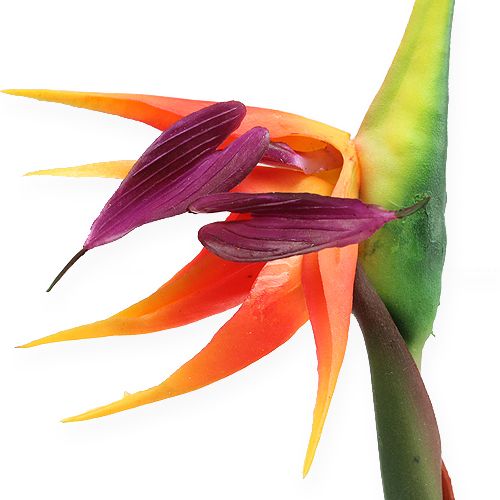 Itens Strelitzia ave do paraíso flor 62cm