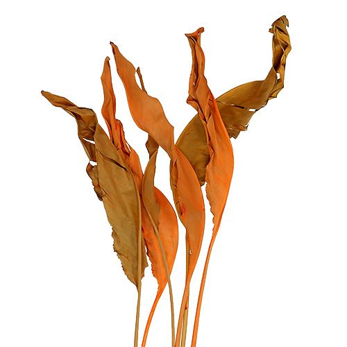 Floristik24 Strelitzia deixa laranja 120cm 20 peças