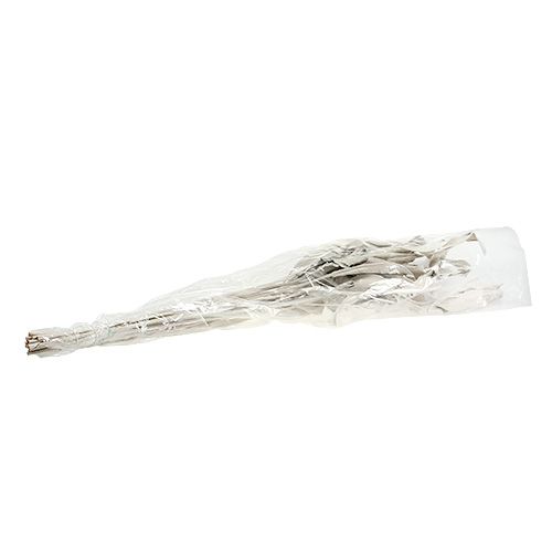 Floristik24 Folhas decorativas Folhas de Strelitzia lavadas de branco 120cm 10 un