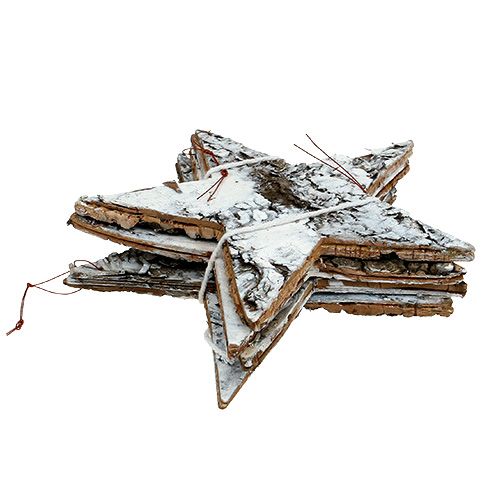 Floristik24 Estrela de casca de bétula grande branca 19 cm 4 unidades