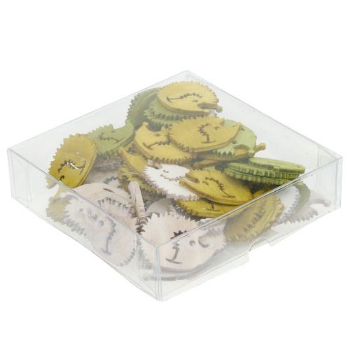 Floristik24 Ouriços decorativos dispersos em madeira cores sortidas 4cm 72 un