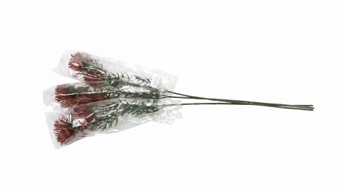 Floristik24 Filial de Xanthium Bordeaux 69cm 3pcs
