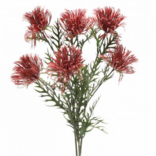 Floristik24 Filial de Xanthium Bordeaux 69cm 3pcs