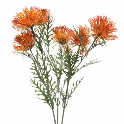 Floristik24 Ramo de xanthium laranja 69cm 3pcs