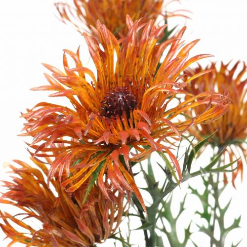 Floristik24 Ramo de xanthium laranja 69cm 3pcs