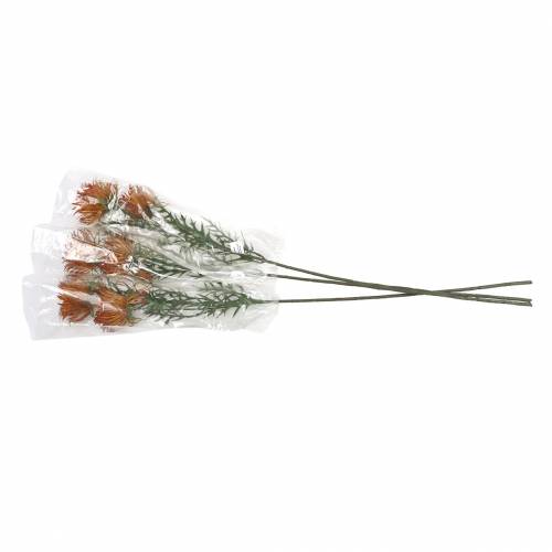 Floristik24 Ramo de xanthium laranja 69cm 3pcs