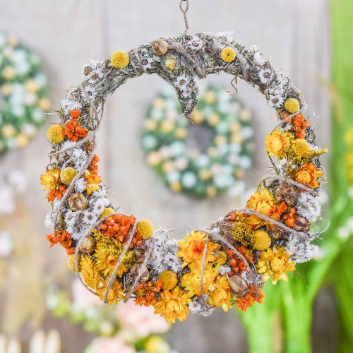 Floristik24 Flores de Palha Flores Secas Laranja Pequeno 15g