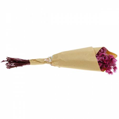 Floristik24 Flores Secas Rosa Buquê de Flores Secas Flores Secas Rosa A21cm