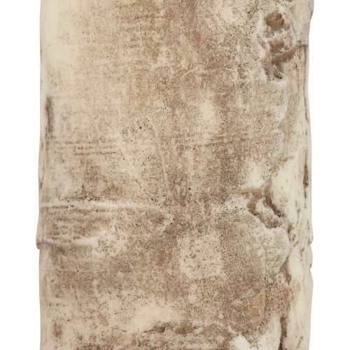 Floristik24 Vela pilar casca de árvore vela decoração bétula creme 140/80mm