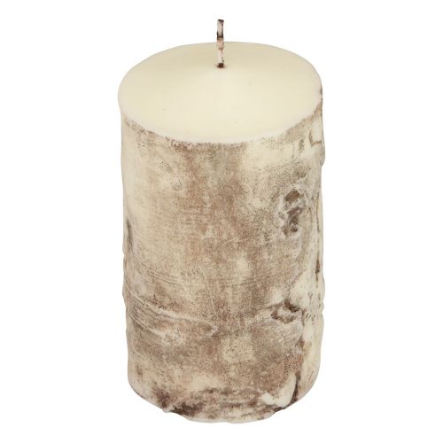 Floristik24 Vela pilar casca de árvore vela decoração bétula creme 140/80mm