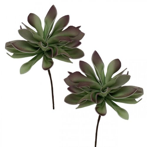 Verde suculento, bordô 10 cm 12 unidades