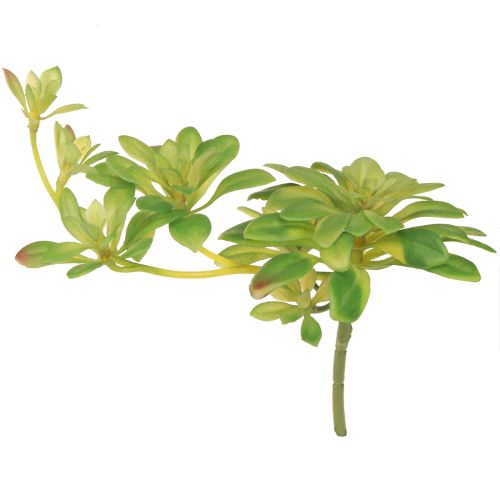 Itens Planta artificial suculenta com palheta Aeonium Verde 30cm 4 pcs