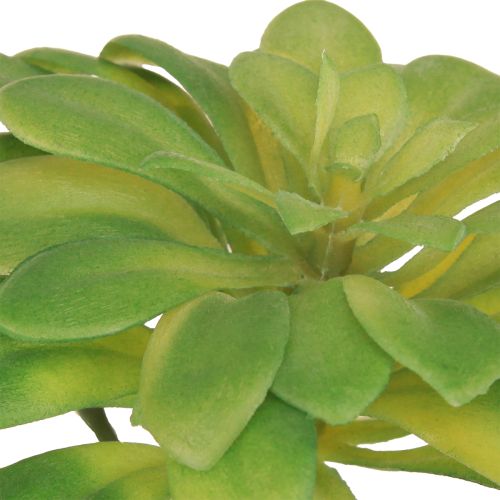 Itens Planta artificial suculenta com palheta Aeonium Verde 30cm 4 pcs