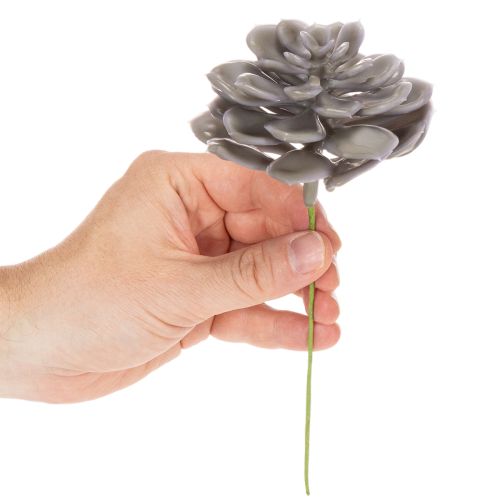 Conjunto de 6 flores artificiais de cera suculentas para decoração, 10 cm. | Floristik24.pt