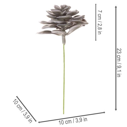 Conjunto de 6 flores artificiais de cera suculentas para decoração, 10 cm. | Floristik24.pt