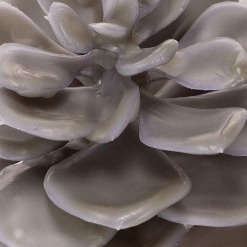 Conjunto de 6 flores artificiais de cera suculentas para decoração, 10 cm. | Floristik24.pt