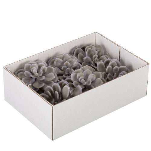 Conjunto de 6 flores artificiais de cera suculentas para decoração, 10 cm. | Floristik24.pt