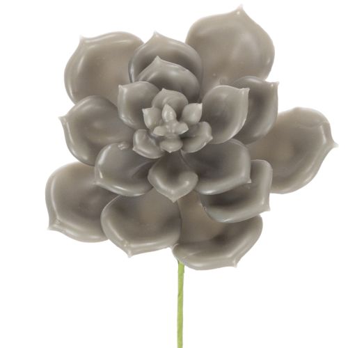 Planta artificial suculenta de cera com arame, 8 cm, 8 peças comprar | Floristik24.pt