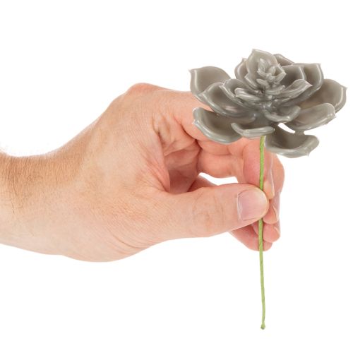 Planta artificial suculenta de cera com arame, 8 cm, 8 peças | Floristik24.pt