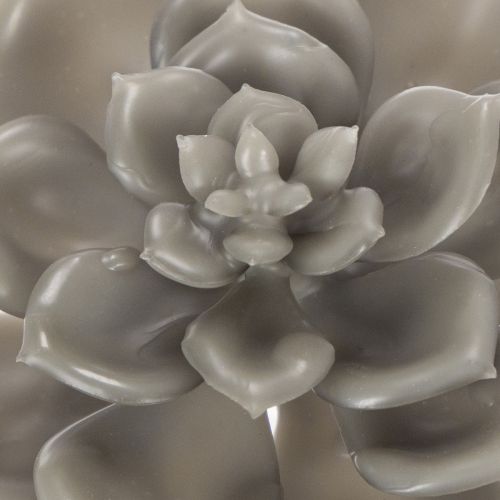Planta artificial suculenta de cera com arame, 8 cm, 8 peças | Floristik24.pt