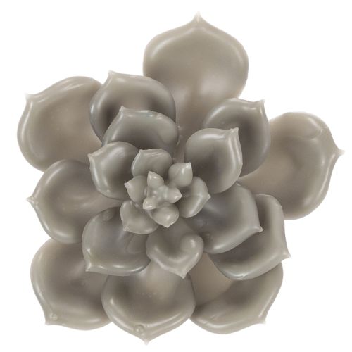 Planta artificial suculenta de cera com arame, 8 cm, 8 peças | Floristik24.pt