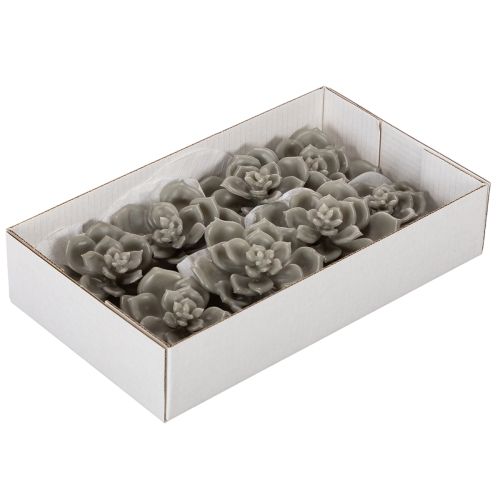 Planta artificial suculenta de cera com arame, 8 cm, 8 peças | Floristik24.pt