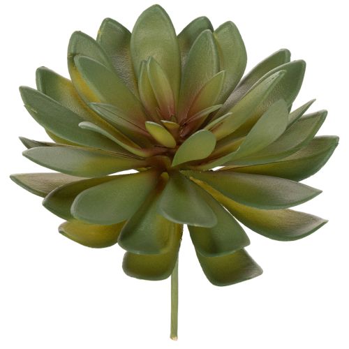 Suculenta artificial como planta decorativa, verde, 18 cm, 3 peças comprar | Floristik24.pt