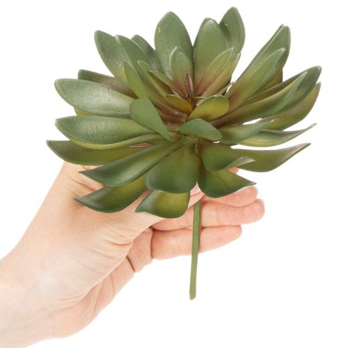 Suculenta artificial como planta decorativa, verde, 18 cm, 3 peças | Floristik24.pt