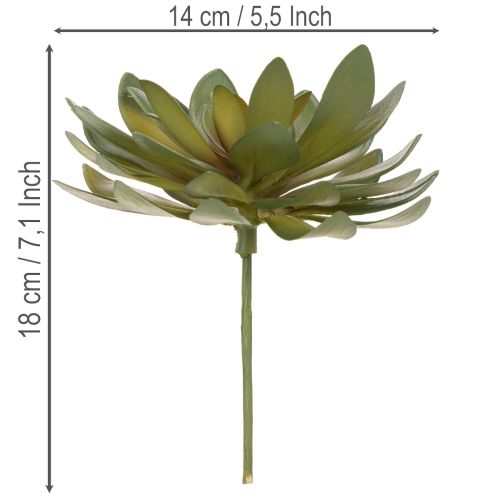 Suculenta artificial como planta decorativa, verde, 18 cm, 3 peças | Floristik24.pt