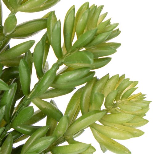 Itens Flor suculenta artificial para decoração de baixa manutenção de espaços residenciais e comerciais, 15 cm, 5 peças.