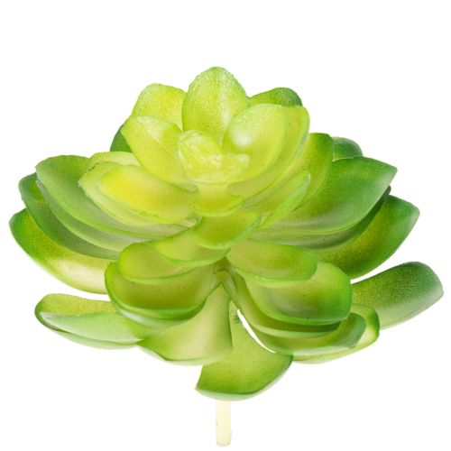 Itens Planta suculenta artificial, verde, para decoração em vaso ou tigela, 10 cm, 4 peças