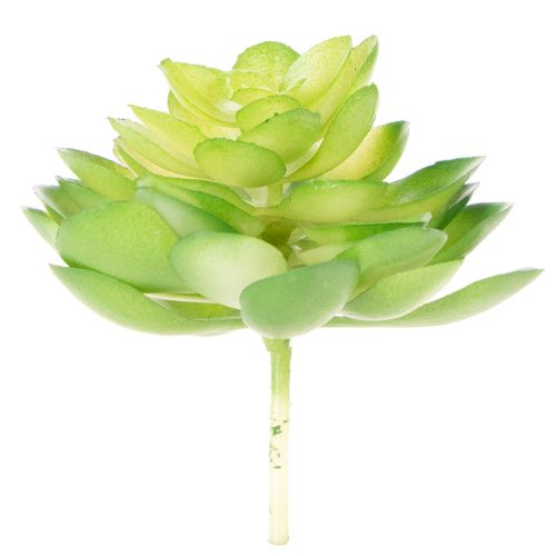 Planta suculenta artificial, verde, para decoração em vaso ou tigela, 10 cm, 4 peças | Floristik24.pt