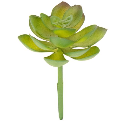 Planta suculenta verde artificial como decoração para arranjos criativos.