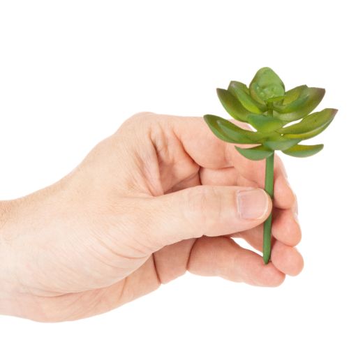Planta suculenta verde artificial como decoração para arranjos criativos. | Floristik24.pt