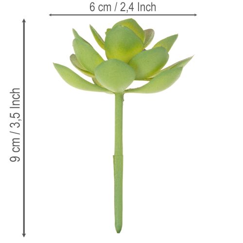 Planta suculenta verde artificial como decoração para arranjos criativos. | Floristik24.pt