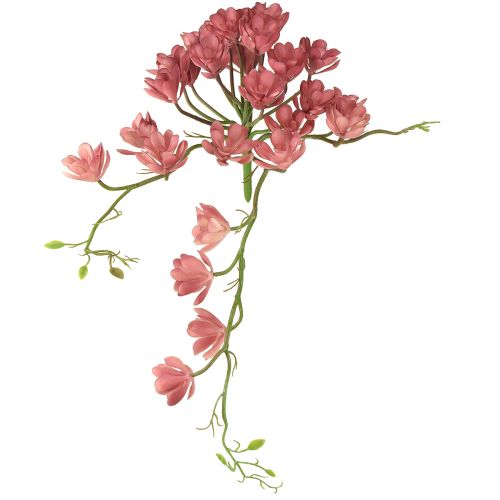 Suculenta artificial 28 rosetas Aeonium rosa velho 43cm