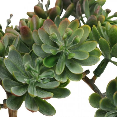 Floristik24 Suculenta artificial para colar verde, vermelho 12cm