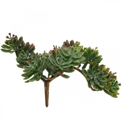 Floristik24 Suculenta artificial para colar verde, vermelho 12cm
