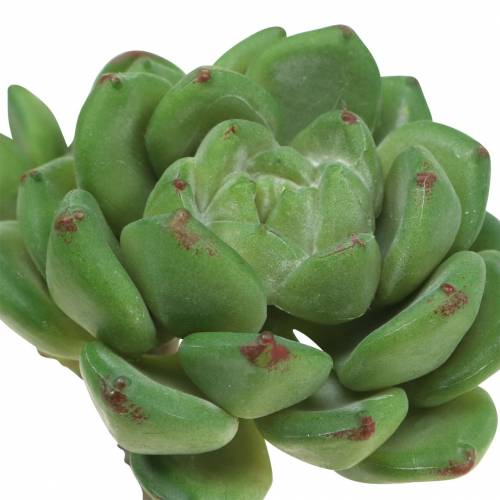 Itens Suculenta Echeveria artificial Verde Alt.15cm
