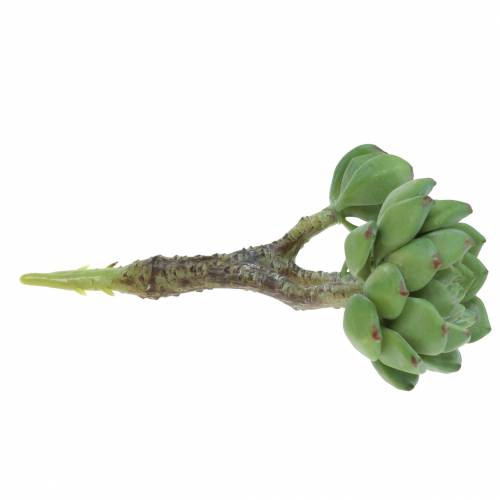 Itens Suculenta Echeveria artificial Verde Alt.15cm